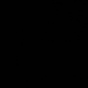 Meet your Posher, Jayden